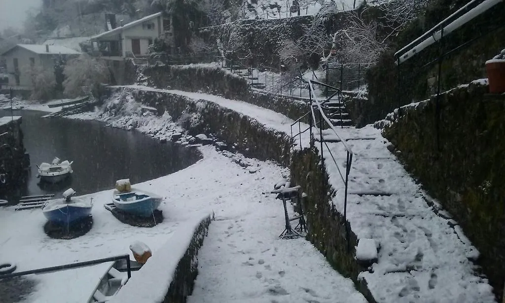 Tra Lago E Montagna Baita La Morena Nesso Çiftlik konaklama